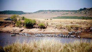 Sentinel Mara Camp | Africa Specials