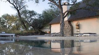 Mbizi Bush Lodge | Balule Nature Reserve Accommodation