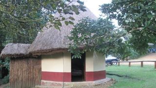 Buhoma Community Rest Camp | Accommodation Bwindi Impenetrable National Park