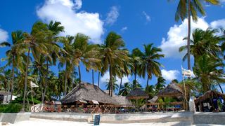 Blue Reef Fishing Lodge | Lodges Jambiani