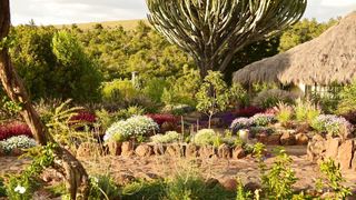 Olepangi Farm Guest House | Accommodation Timau