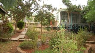 Acacia Resort Hotel | Resorts Wote