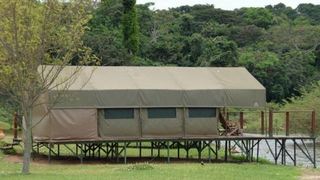 Ngamba Island Tented Camp | Bulago Island Accommodation