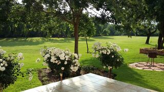 Ibis Nest Guest Lodge | Africa Specials
