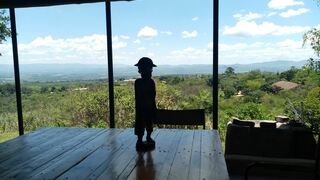 Bushwhacked | Barberton Accommodation
