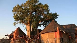 Rift Valley Photographic Lodge | Lodges Mto wa Mbu