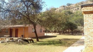 Rhebokgasteplaas | Klerksdorp Accommodation