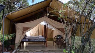 Little Olerai Camp | Maasai Mara National Reserve Accommodation