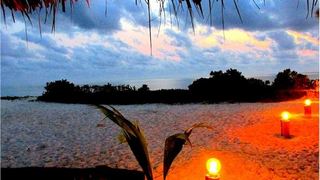 Da Loose Mongoose Beach Lodge | Jambiani Accommodation