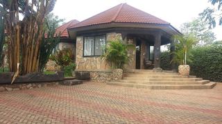 Ango Tree Hotel | Lake Manyara National Park Accommodation
