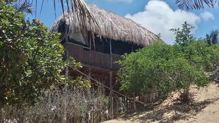 Nao Faz Mal - The Nut Hut | Praia da Barra Self-catering