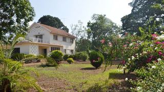 Karibu Hostel | Accommodation Moshi