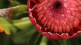 Krisjan's Lodge at Oubaai | Hotels Herolds Bay