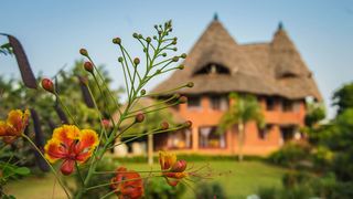 Fair Haven Resort | Accommodation Diani Beach