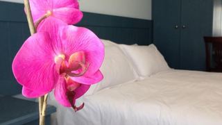 The Mediterranean | Bedfordview Accommodation