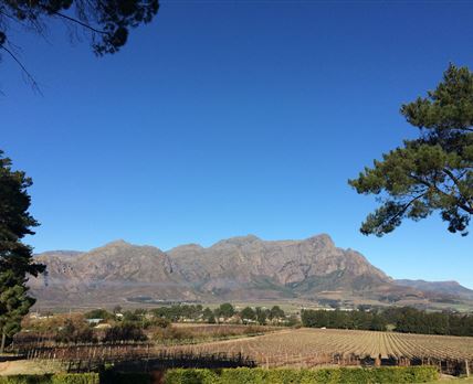 Topiary Boutique Winery