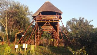 Marloth Park Bona Ngwenya Lodge | Lodges Marloth Park