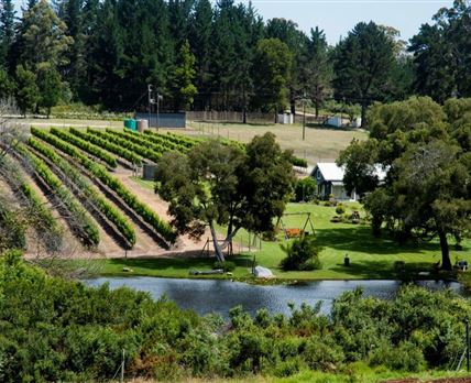 Luka Wine Estate