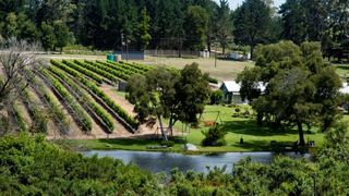 Luka Wine Estate | Accommodation Harkerville