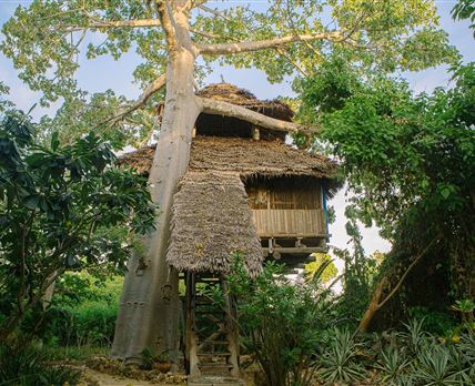 Chole Mjini Lodge