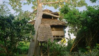 Chole Mjini Lodge | Chole Island Accommodation