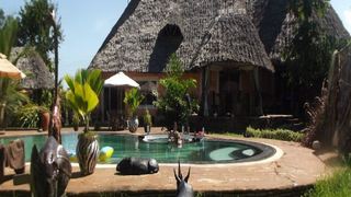 South Coast Backpackers | Accommodation Diani Beach