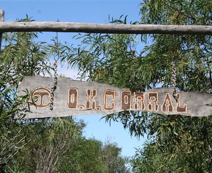 Circle T Ranch