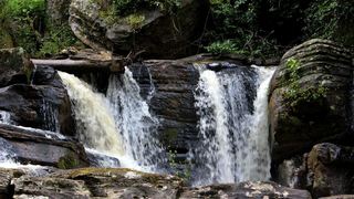 Amani Forest Camp | Hotels Usambara Mountains