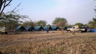 Serengeti Tanzania Bush Camp | Accommodation Serengeti National Park