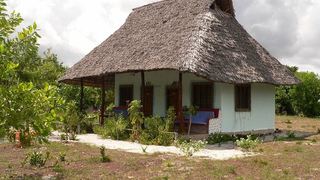 Didimiza Guest House | Accommodation Mafia Island