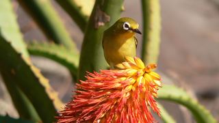 Lost Trail Bed & Breakfast | Nelspruit Accommodation