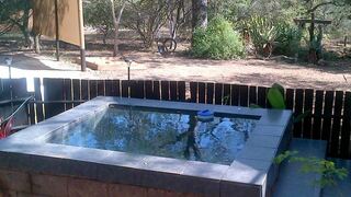 Live-A-Little - Marloth Park | Marloth Park Accommodation