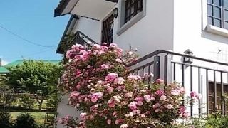 Rose Cottage | Haenertsburg Accommodation