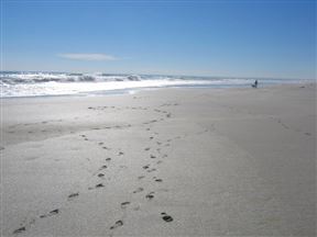 Van Riebeeckstrand
