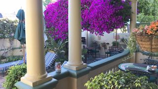 Olaf's Guesthouse | Sea Point Accommodation