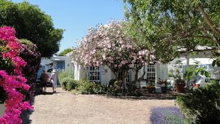 Eastbury Cottage Self Catering and B&B | Eastcliff Accommodation