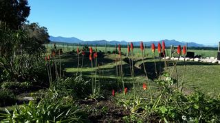 Marland Farm | Wittedrift Accommodation