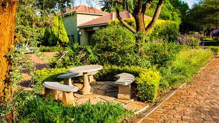 Zororo Lodge | Dalmada Accommodation