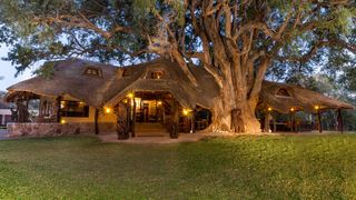 Pride Rock | Tuli Game Reserve Accommodation