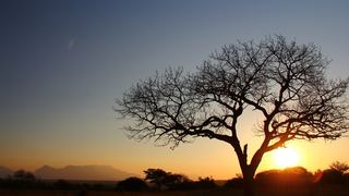 Thornhill Safari Lodge | Hoedspruit Specials