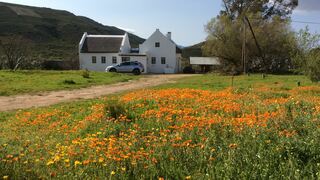 Plum Tree Cottage | McGregor Accommodation