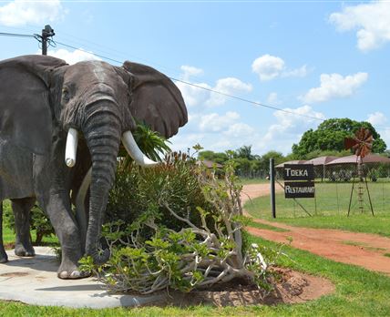 Toeka Accommodation, Restaurant and Predator Park