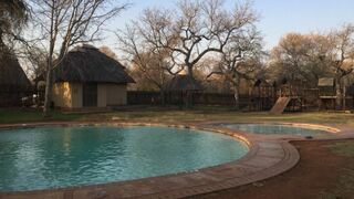 Satara Rest Camp Kruger National Park SANParks | Accommodation South Kruger Park