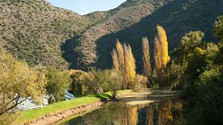 Old Mill Country Lodge & Restaurant | Oudtshoorn Specials