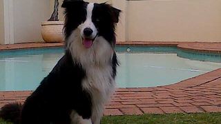 Beachside Guest House | Glenashley Self-catering