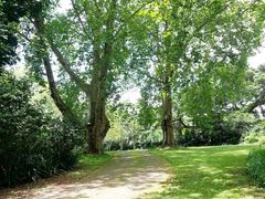 18 Pioneer BNB | Kloof Accommodation
