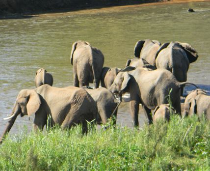 Kruger View Chalets