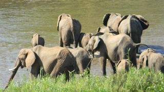 Kruger View Chalets | Malelane Accommodation