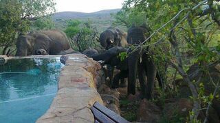 Ngululu Bush Lodge | Mabalingwe Nature Reserve Accommodation