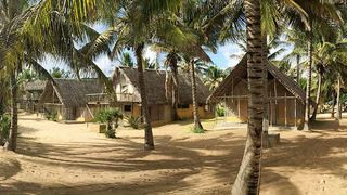 Palm Grove Lodge | Praia da Barra Accommodation